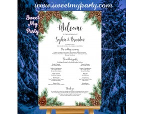 Pine Cone Wedding Program Sign,Winter Wedding Welcome sign with program,(119w)